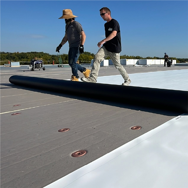 TPO Waterproof Membrane