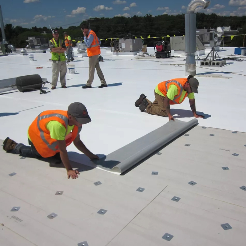TPO Waterproof Membrane