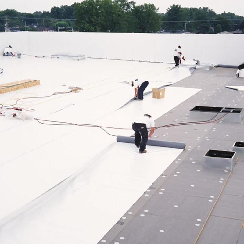 TPO Waterproof Membrane